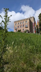 PXL 20240623 080211951.MP