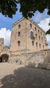 PXL 20240623 081118235.MP