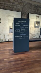 PXL 20240623 091753088.MP