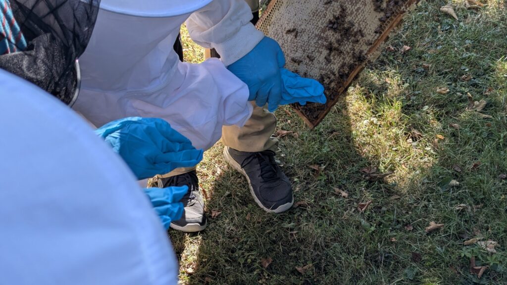 PXL 20250719 083359471.MP