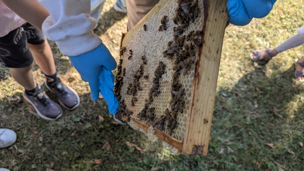 PXL 20250719 083454631.MP