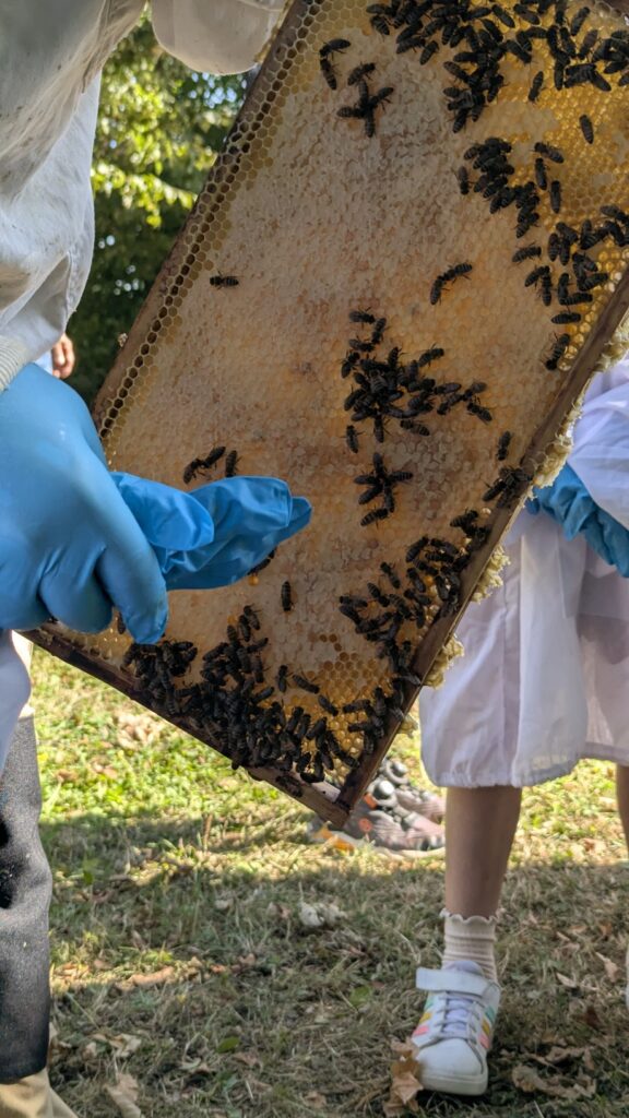 PXL 20250719 083552315.MP