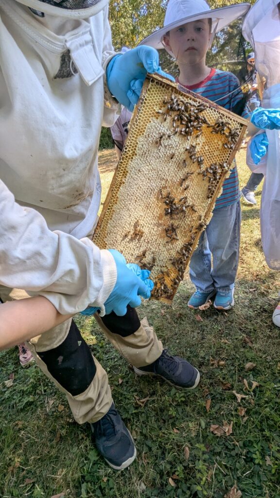 PXL 20250719 083623295