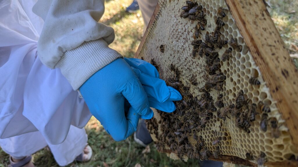 PXL 20250719 083803291.MP