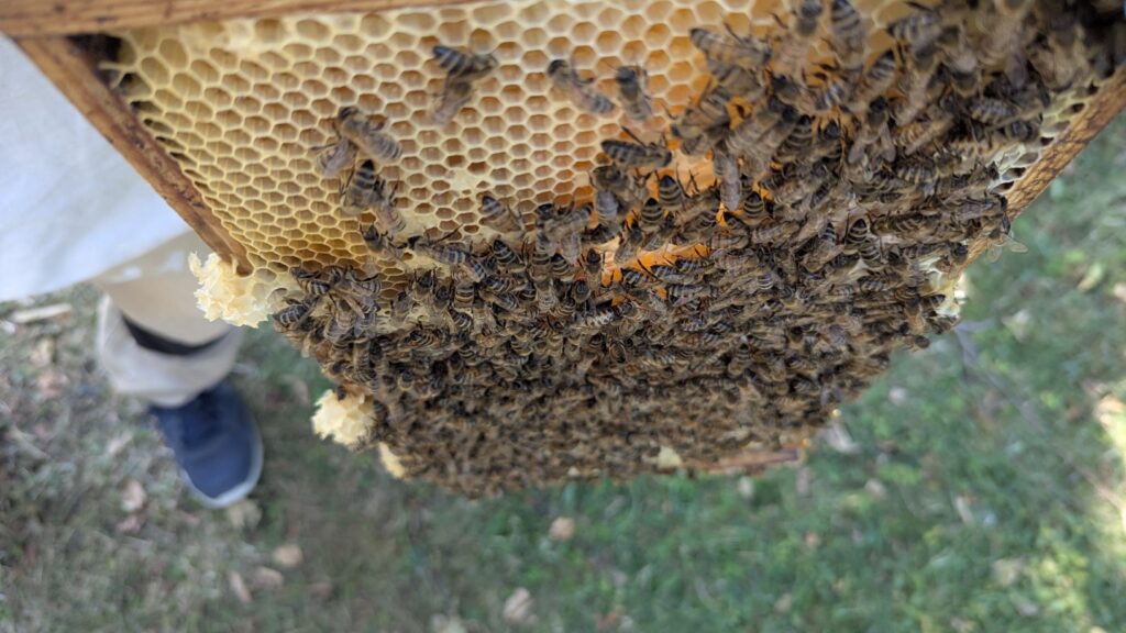 PXL 20250719 084712903