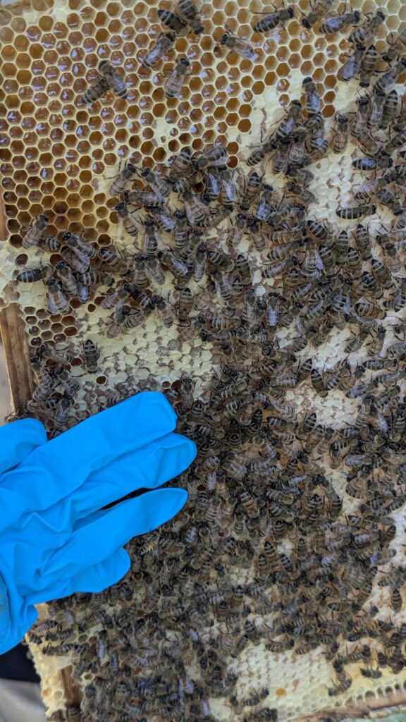 PXL 20250719 084722358