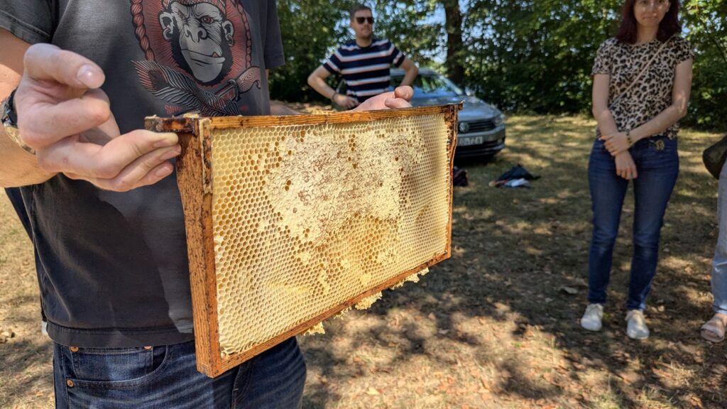 PXL 20250719 084904678