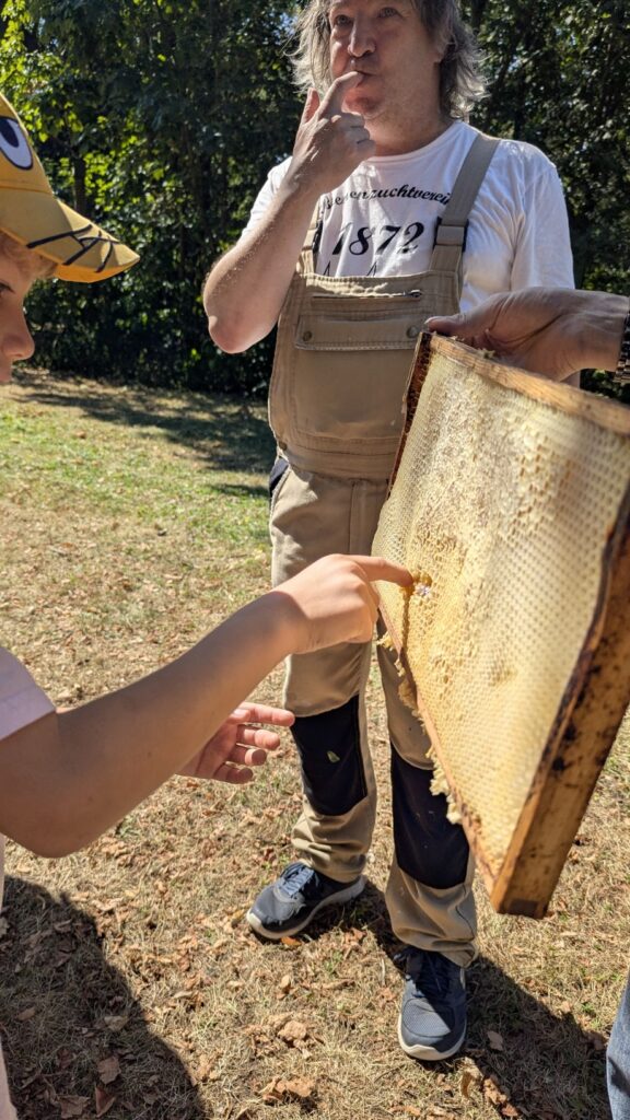 PXL 20250719 084954455.MP